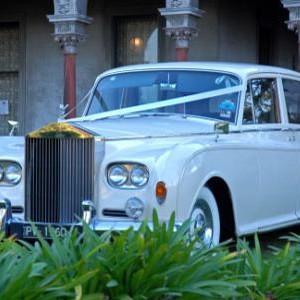 <br />
<b>Notice</b>:  Undefined variable: slide_alt in <b>/home/silverse/public_html/wp-content/plugins/ultimate-responsive-image-slider/uris-layout.php</b> on line <b>264</b><br />
