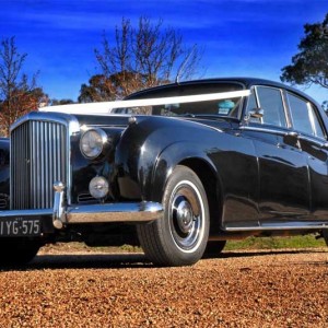 <br />
<b>Notice</b>:  Undefined variable: slide_alt in <b>/home/silverse/public_html/wp-content/plugins/ultimate-responsive-image-slider/uris-layout.php</b> on line <b>264</b><br />
