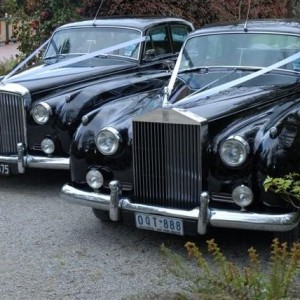 <br />
<b>Notice</b>:  Undefined variable: slide_alt in <b>/home/silverse/public_html/wp-content/plugins/ultimate-responsive-image-slider/uris-layout.php</b> on line <b>264</b><br />
